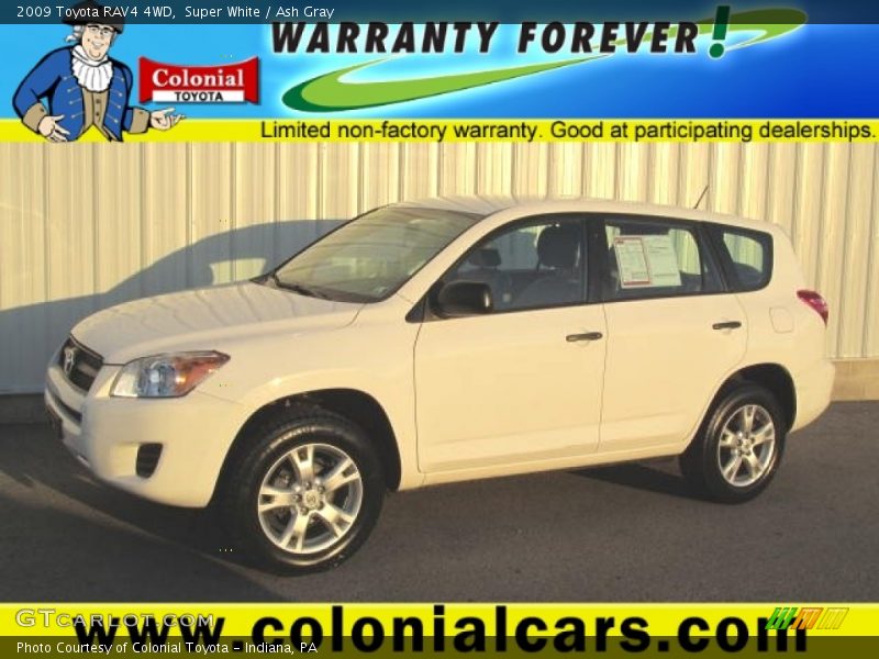 Super White / Ash Gray 2009 Toyota RAV4 4WD