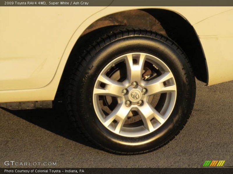Super White / Ash Gray 2009 Toyota RAV4 4WD