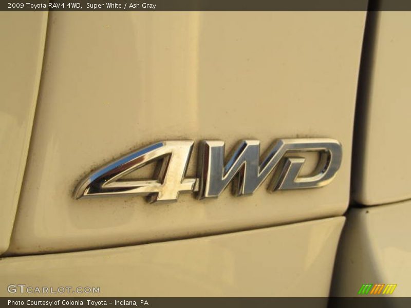 Super White / Ash Gray 2009 Toyota RAV4 4WD