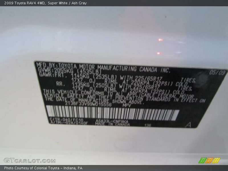 Super White / Ash Gray 2009 Toyota RAV4 4WD