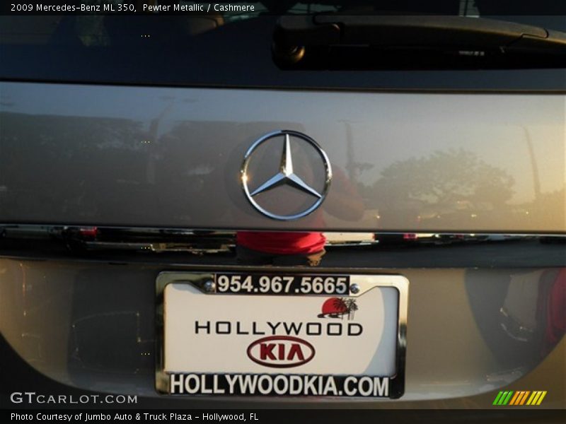 Pewter Metallic / Cashmere 2009 Mercedes-Benz ML 350