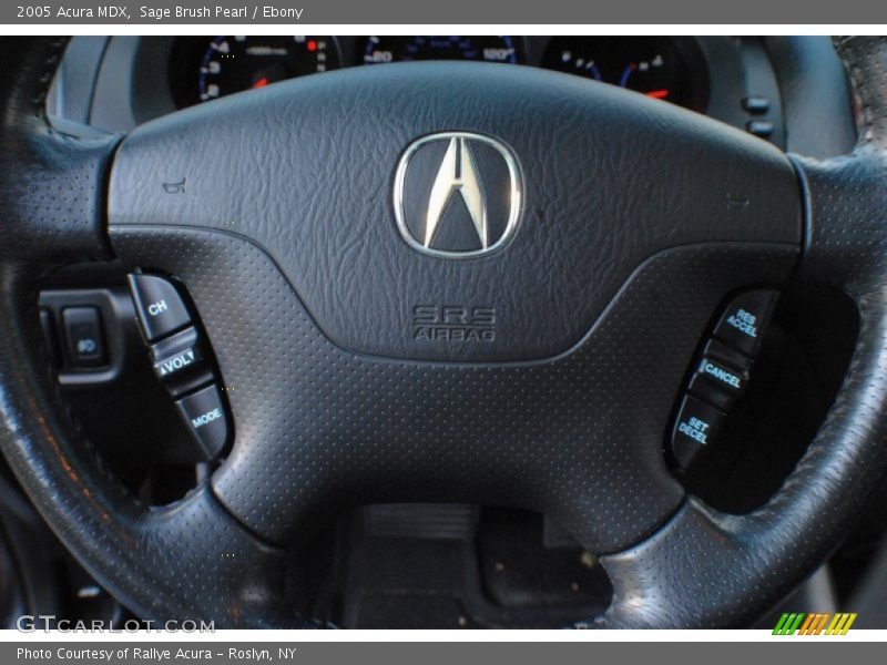 Sage Brush Pearl / Ebony 2005 Acura MDX