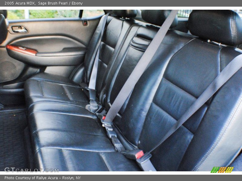 Sage Brush Pearl / Ebony 2005 Acura MDX