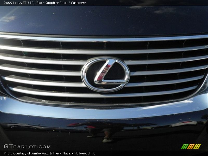 Black Sapphire Pearl / Cashmere 2009 Lexus ES 350