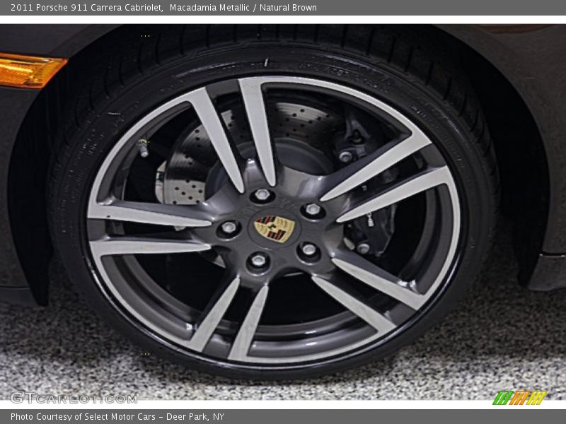 Macadamia Metallic / Natural Brown 2011 Porsche 911 Carrera Cabriolet