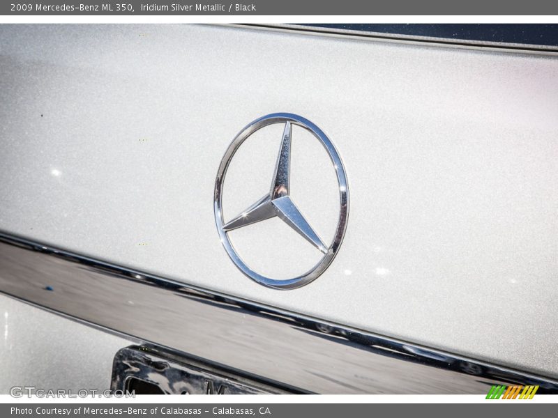 Iridium Silver Metallic / Black 2009 Mercedes-Benz ML 350
