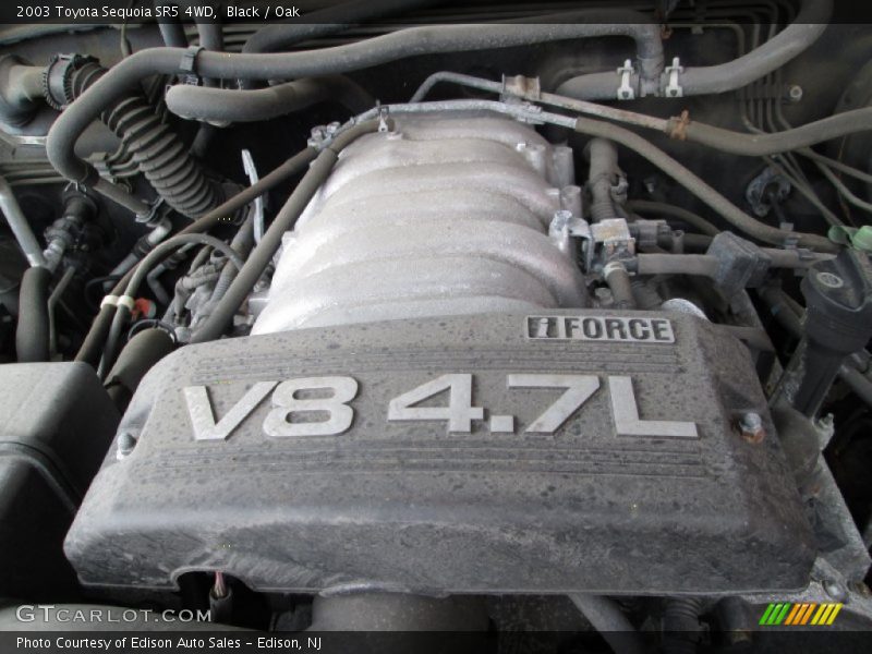Black / Oak 2003 Toyota Sequoia SR5 4WD