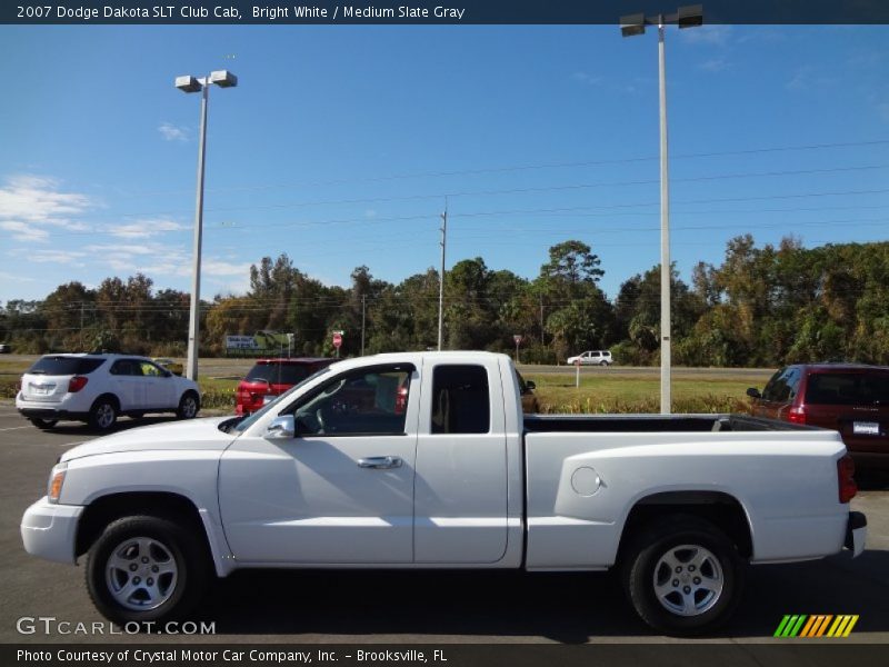 Bright White / Medium Slate Gray 2007 Dodge Dakota SLT Club Cab