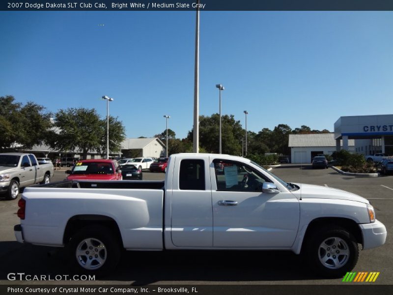 Bright White / Medium Slate Gray 2007 Dodge Dakota SLT Club Cab