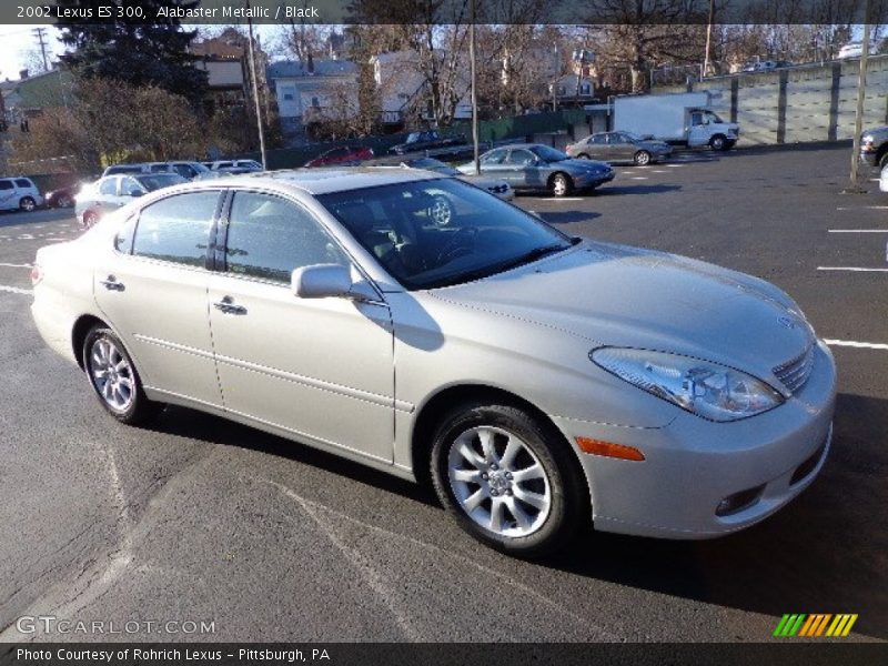 Alabaster Metallic / Black 2002 Lexus ES 300