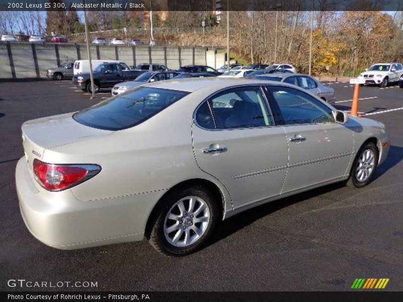 Alabaster Metallic / Black 2002 Lexus ES 300