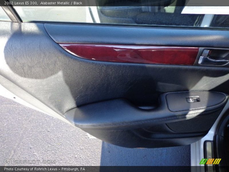Alabaster Metallic / Black 2002 Lexus ES 300