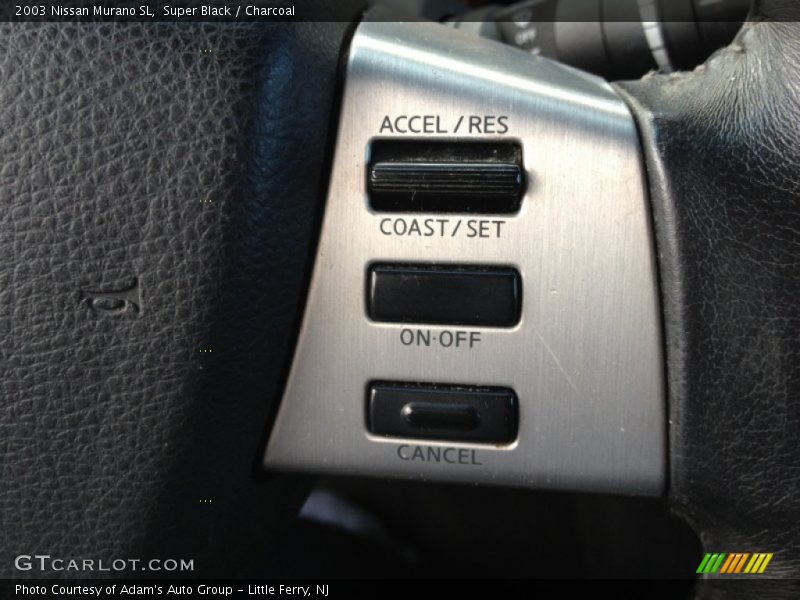 Super Black / Charcoal 2003 Nissan Murano SL