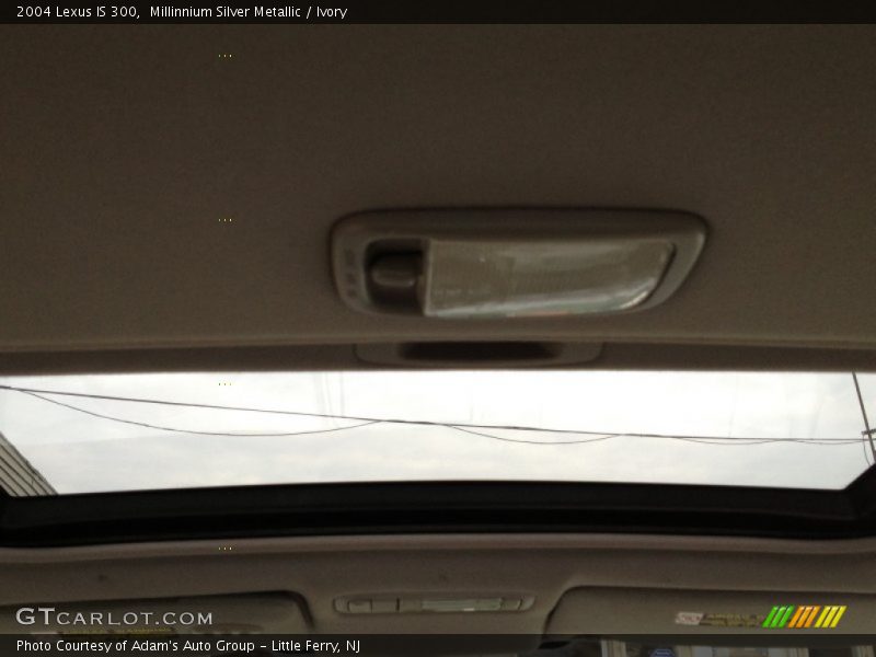 Millinnium Silver Metallic / Ivory 2004 Lexus IS 300