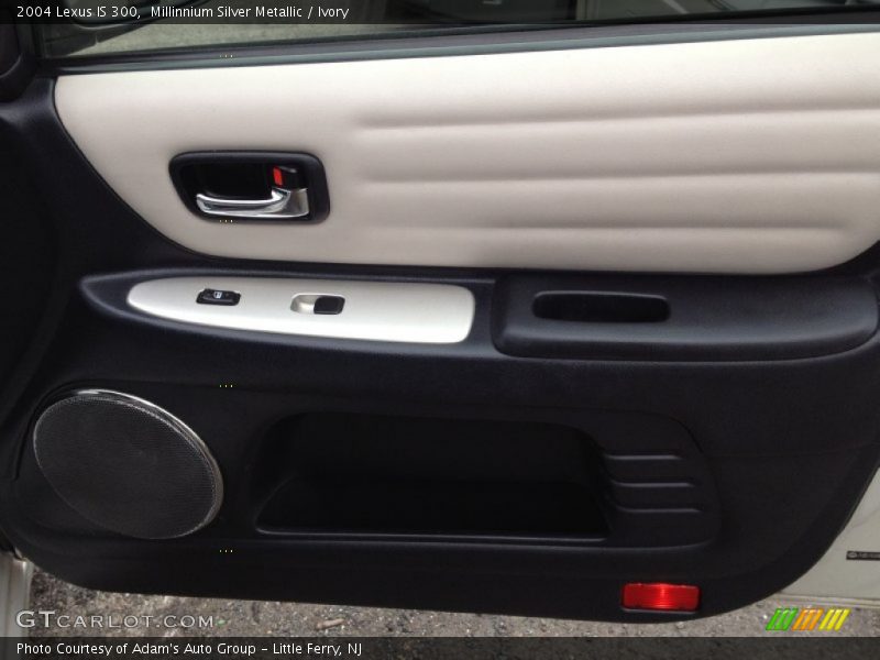 Millinnium Silver Metallic / Ivory 2004 Lexus IS 300