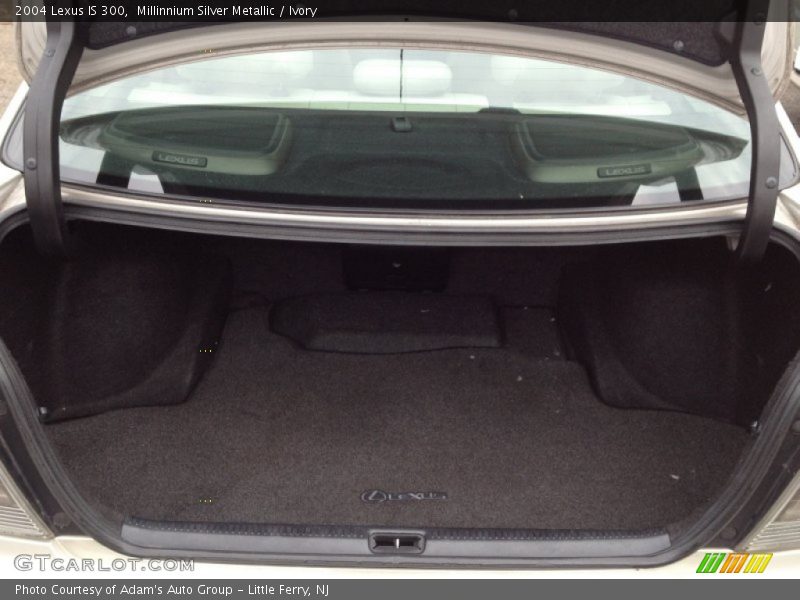 Millinnium Silver Metallic / Ivory 2004 Lexus IS 300