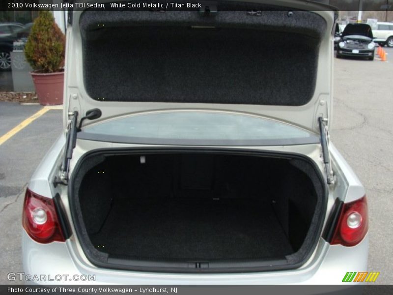 White Gold Metallic / Titan Black 2010 Volkswagen Jetta TDI Sedan