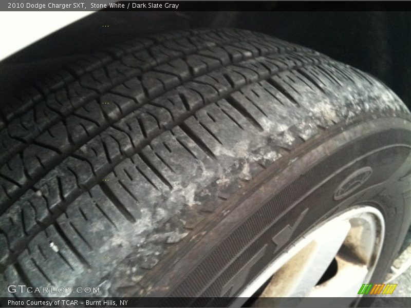Stone White / Dark Slate Gray 2010 Dodge Charger SXT