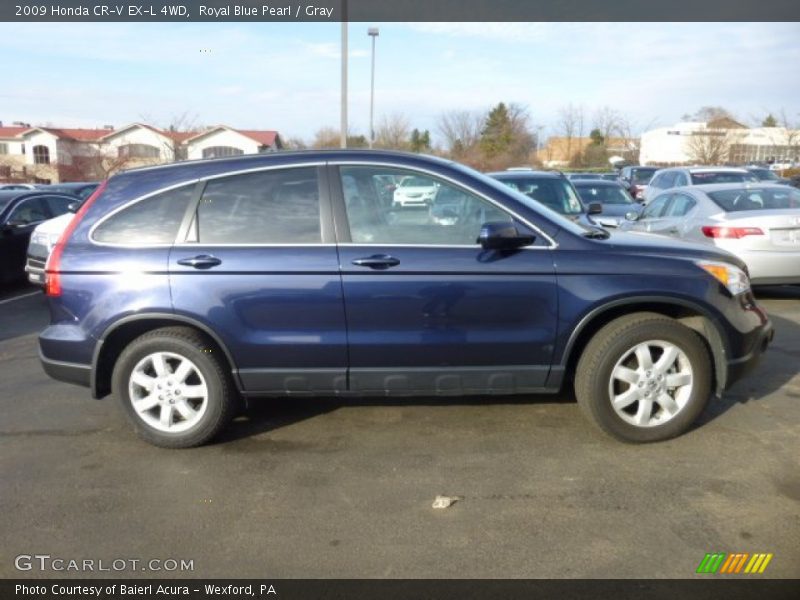 Royal Blue Pearl / Gray 2009 Honda CR-V EX-L 4WD