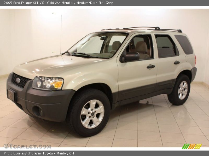 Gold Ash Metallic / Medium/Dark Flint Grey 2005 Ford Escape XLT V6