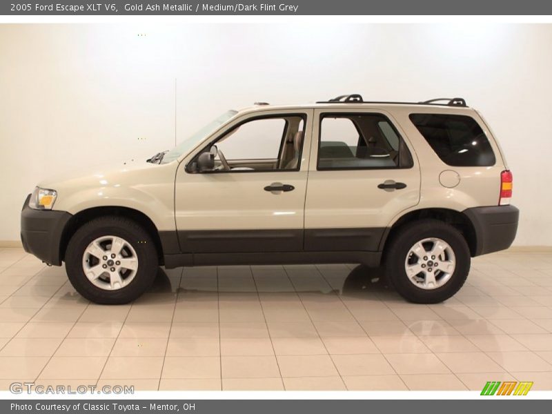Gold Ash Metallic / Medium/Dark Flint Grey 2005 Ford Escape XLT V6