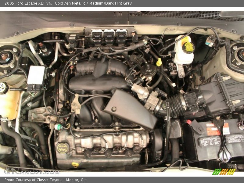 Gold Ash Metallic / Medium/Dark Flint Grey 2005 Ford Escape XLT V6
