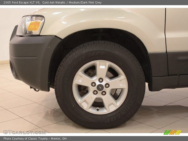 Gold Ash Metallic / Medium/Dark Flint Grey 2005 Ford Escape XLT V6