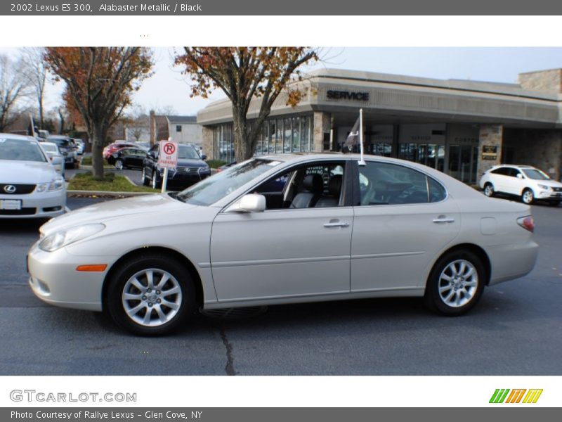 Alabaster Metallic / Black 2002 Lexus ES 300