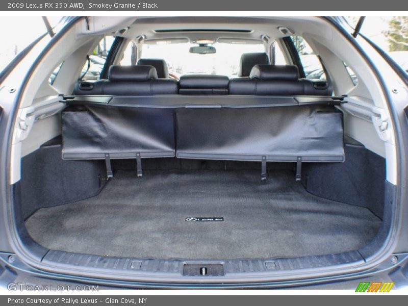 Smokey Granite / Black 2009 Lexus RX 350 AWD