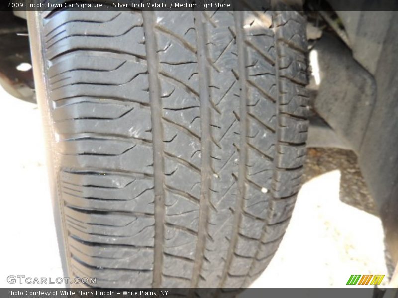 Silver Birch Metallic / Medium Light Stone 2009 Lincoln Town Car Signature L