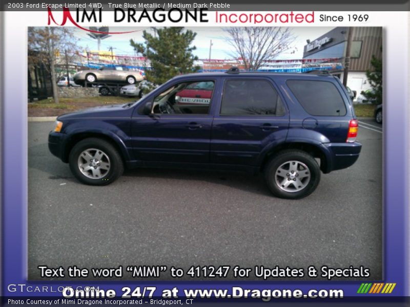 True Blue Metallic / Medium Dark Pebble 2003 Ford Escape Limited 4WD