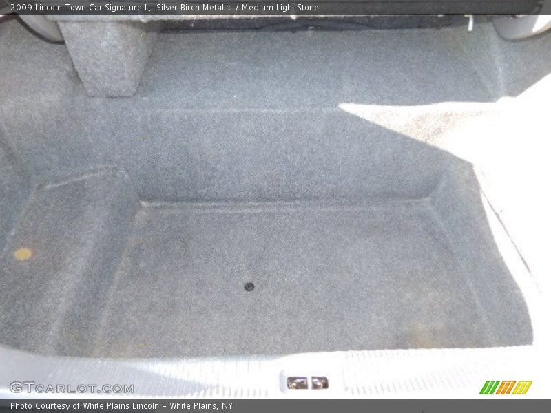 Silver Birch Metallic / Medium Light Stone 2009 Lincoln Town Car Signature L