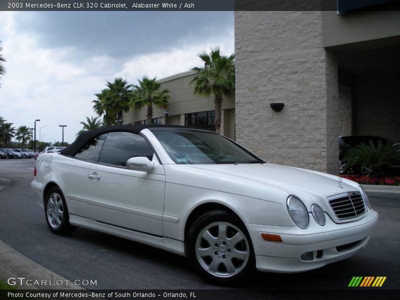 Alabaster White / Ash 2003 Mercedes-Benz CLK 320 Cabriolet
