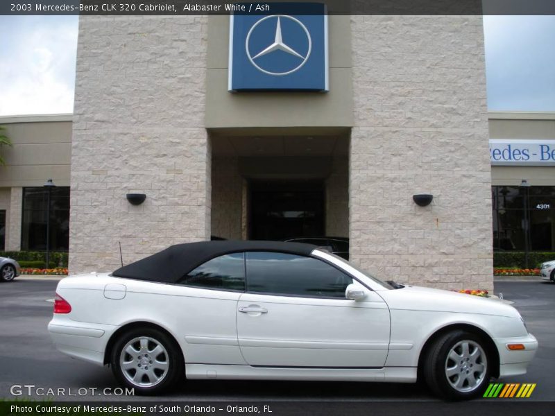 Alabaster White / Ash 2003 Mercedes-Benz CLK 320 Cabriolet