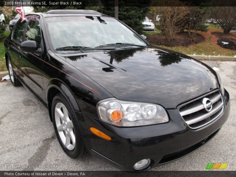 Super Black / Black 2003 Nissan Maxima SE