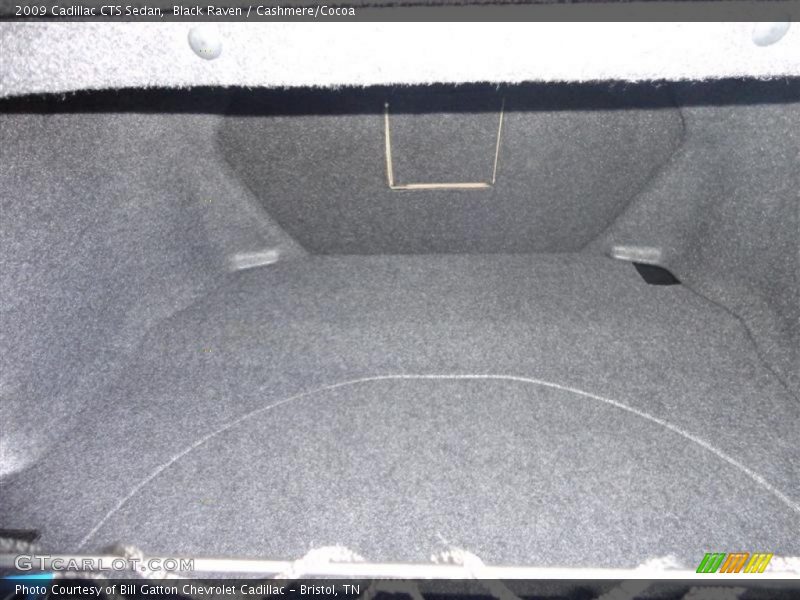 Black Raven / Cashmere/Cocoa 2009 Cadillac CTS Sedan