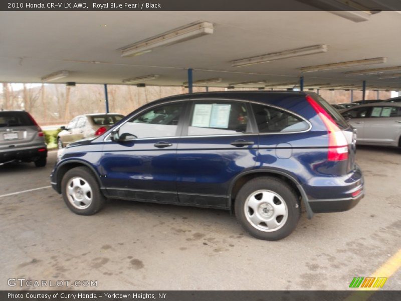 Royal Blue Pearl / Black 2010 Honda CR-V LX AWD