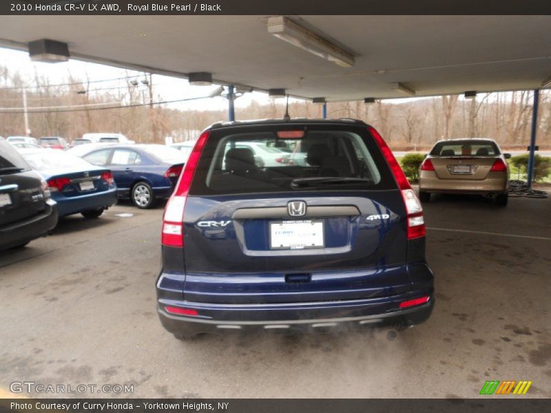 Royal Blue Pearl / Black 2010 Honda CR-V LX AWD
