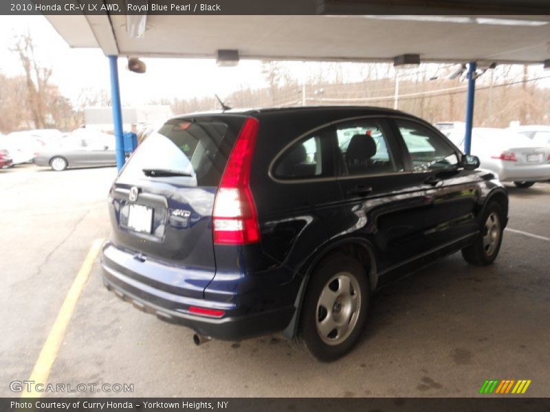 Royal Blue Pearl / Black 2010 Honda CR-V LX AWD