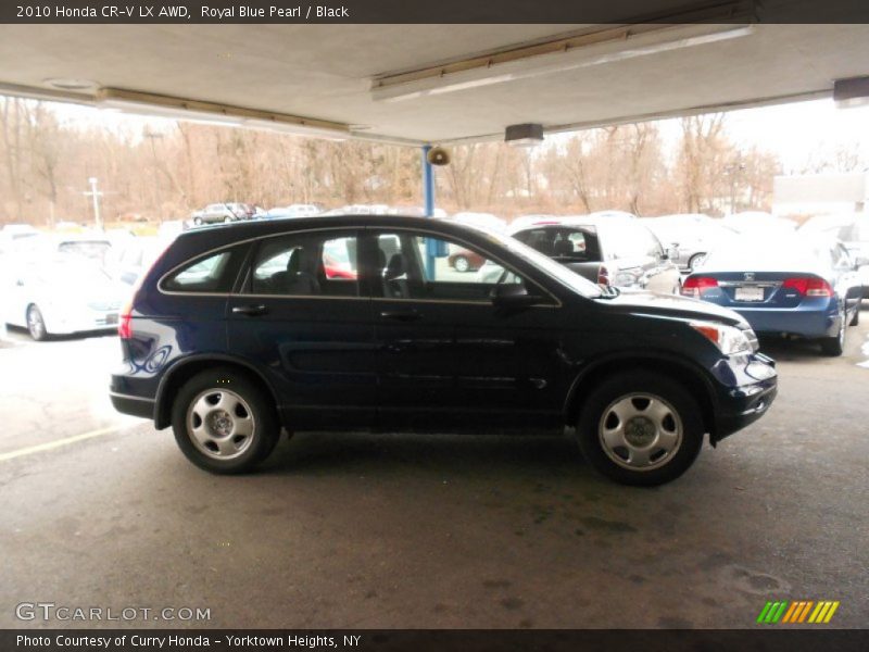 Royal Blue Pearl / Black 2010 Honda CR-V LX AWD