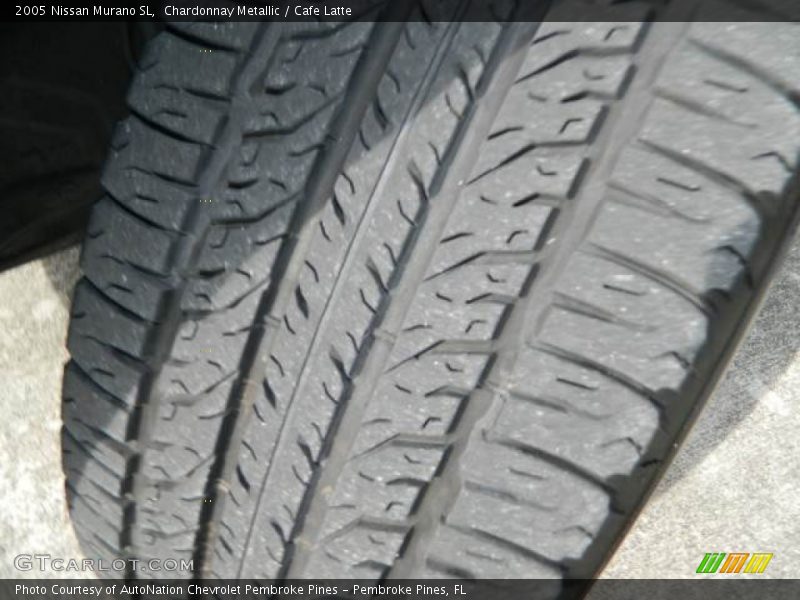 Chardonnay Metallic / Cafe Latte 2005 Nissan Murano SL