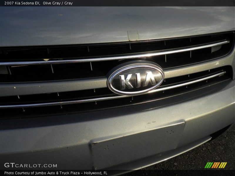 Olive Gray / Gray 2007 Kia Sedona EX