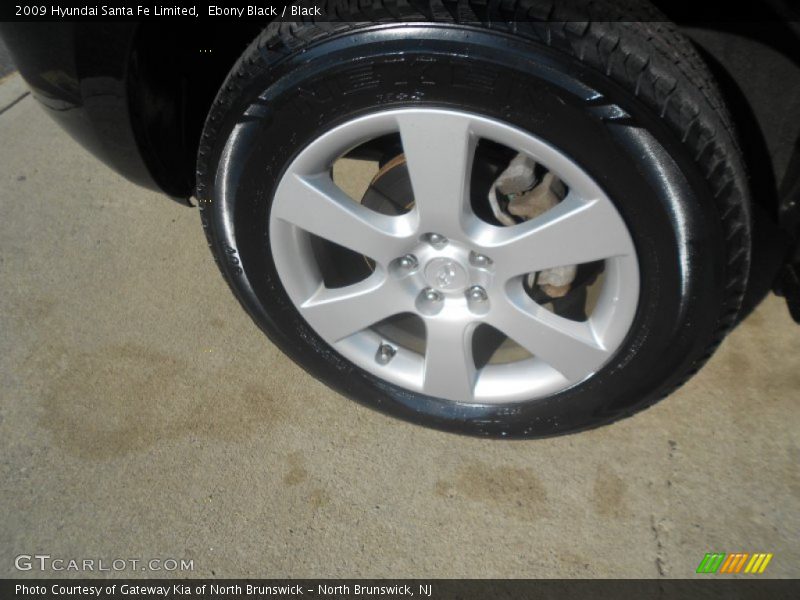 Ebony Black / Black 2009 Hyundai Santa Fe Limited