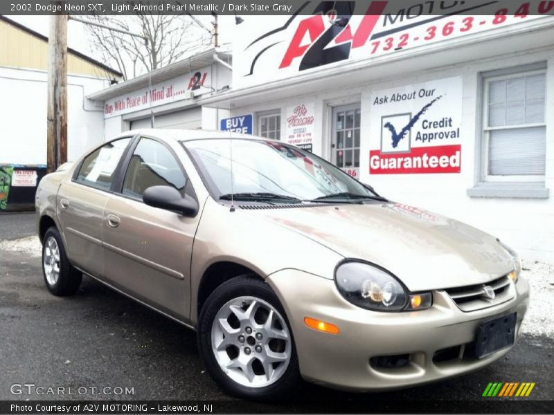 Light Almond Pearl Metallic / Dark Slate Gray 2002 Dodge Neon SXT