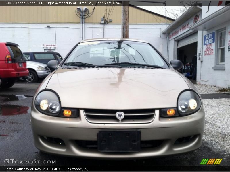 Light Almond Pearl Metallic / Dark Slate Gray 2002 Dodge Neon SXT