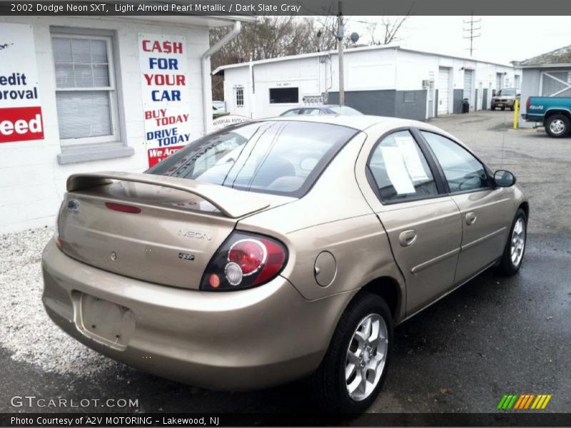 Light Almond Pearl Metallic / Dark Slate Gray 2002 Dodge Neon SXT