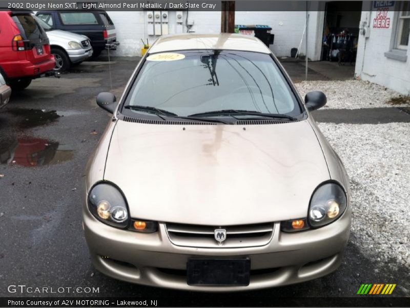 Light Almond Pearl Metallic / Dark Slate Gray 2002 Dodge Neon SXT