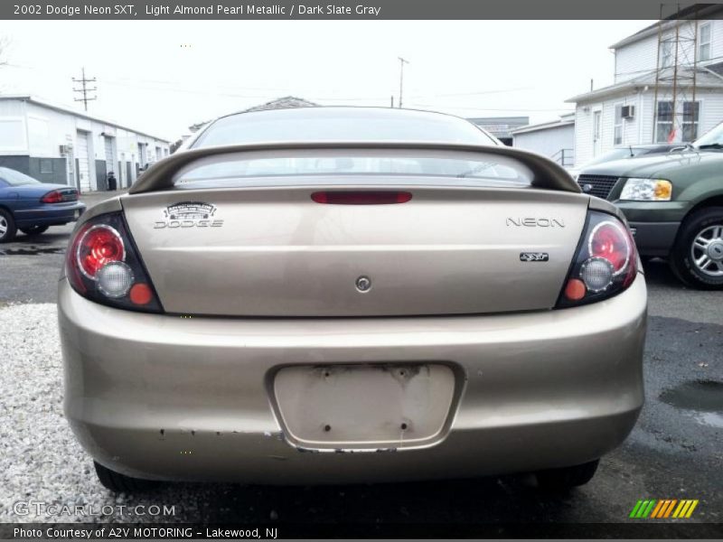 Light Almond Pearl Metallic / Dark Slate Gray 2002 Dodge Neon SXT