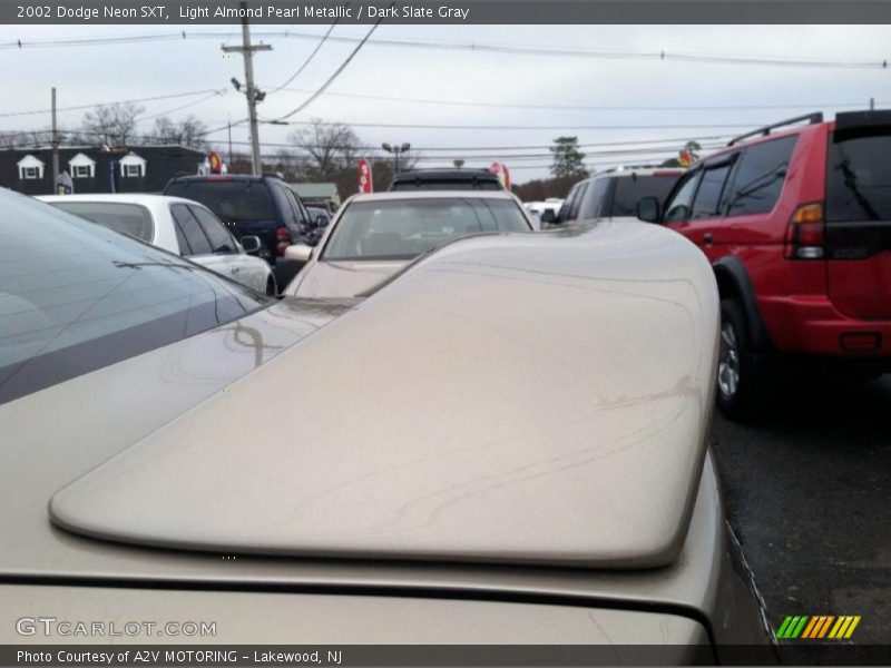 Light Almond Pearl Metallic / Dark Slate Gray 2002 Dodge Neon SXT