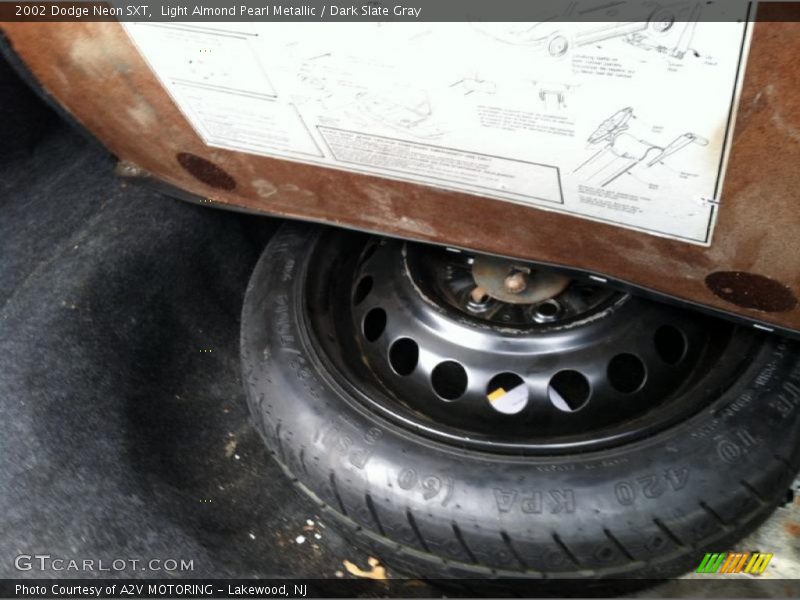 Light Almond Pearl Metallic / Dark Slate Gray 2002 Dodge Neon SXT